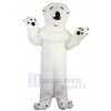 Ours costume de mascotte