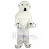 Ours costume de mascotte