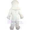 Ours costume de mascotte