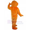 Ours costume de mascotte