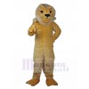 Lion costume de mascotte