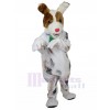 Chien costume de mascotte