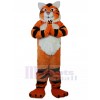 Tigre costume de mascotte