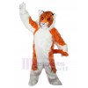 Tigre costume de mascotte