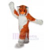 Tigre costume de mascotte