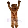 Ours costume de mascotte