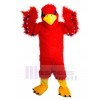 Aigle costume de mascotte