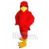 Aigle costume de mascotte