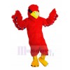 Aigle costume de mascotte