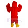 Aigle costume de mascotte