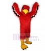 Aigle costume de mascotte