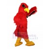 Aigle costume de mascotte