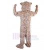 Léopard costume de mascotte