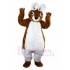 Lapin costume de mascotte