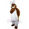 Lapin costume de mascotte