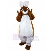 Lapin costume de mascotte