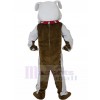 Chien costume de mascotte