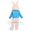 Lapin costume de mascotte
