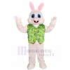 Lapin costume de mascotte