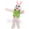 Lapin costume de mascotte