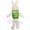 Lapin costume de mascotte