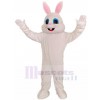 Lapin costume de mascotte