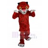 Tigre costume de mascotte
