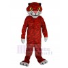 Tigre costume de mascotte