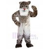Chat sauvage costume de mascotte