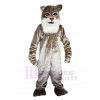 Chat sauvage costume de mascotte