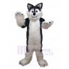 Loup costume de mascotte