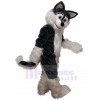 Loup costume de mascotte