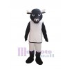 Taureau costume de mascotte