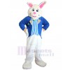 Lapin costume de mascotte