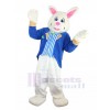 Lapin costume de mascotte