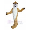 Raton Laveur costume de mascotte