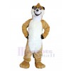 Raton Laveur costume de mascotte