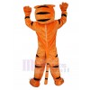 Tigre costume de mascotte