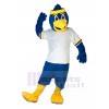 Oiseau costume de mascotte