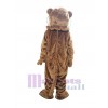 Tigre costume de mascotte