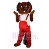 Hamster costume de mascotte
