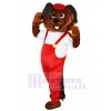 Hamster costume de mascotte