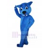 Loup costume de mascotte