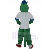 Crocodile costume de mascotte