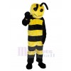 abeille costume de mascotte