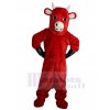 Taureau costume de mascotte