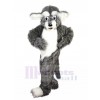 Chien costume de mascotte