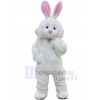 Lapin costume de mascotte