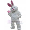 Lapin costume de mascotte