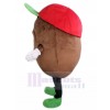 Pomme de terre costume de mascotte